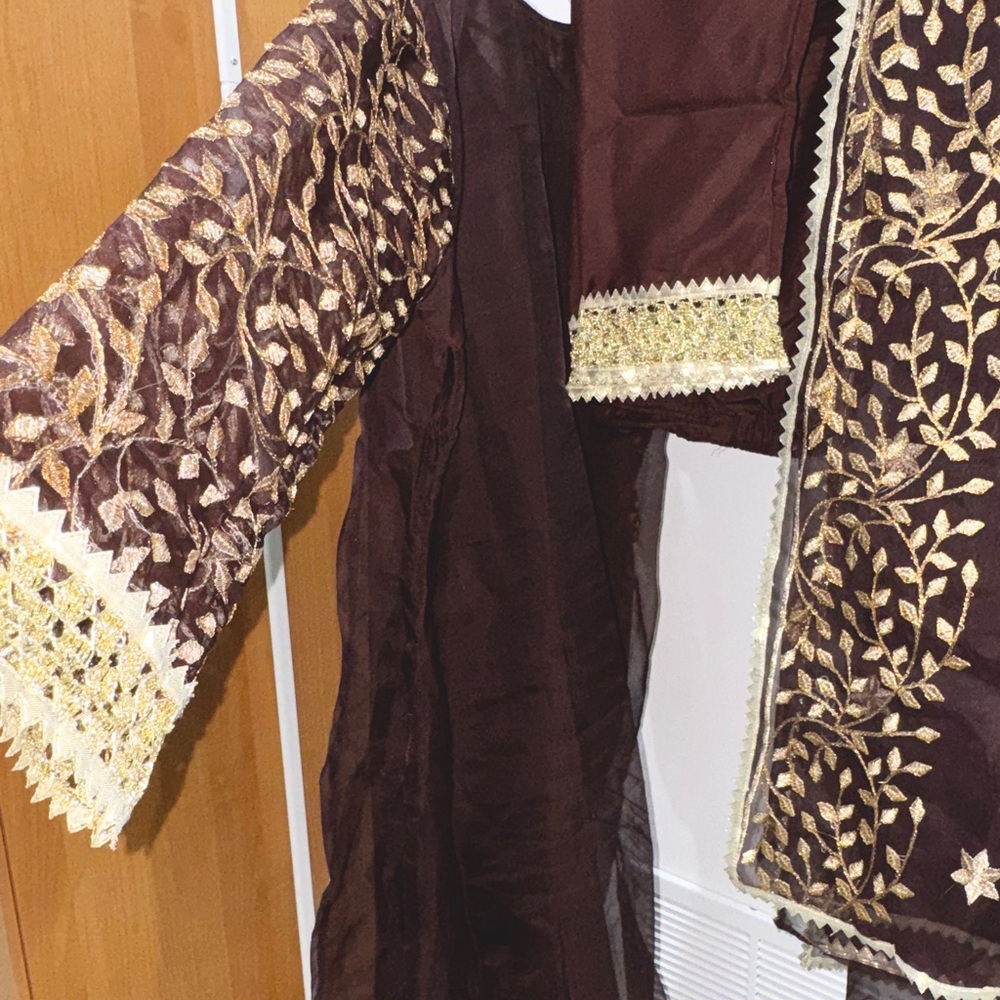 Elegant Brown and Gold Embroidered Desi Suit - Picture 4 of 4